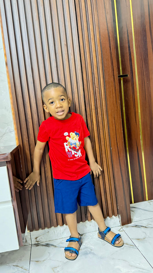 WANEX RED TSHIRT TEDDY BEAR